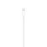 Apple Lightning to USB Cable, 1m, MUQW3ZE/A