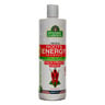 Spanish Garden Chili & Mint Roots Energy Shampoo 450 ml