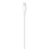 Apple USB-C to Lightning Cable, 1m, MUQ93ZE/A