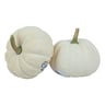 Pumpkin Casperita 1 pc