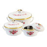 Chefline Plastic Hot Pot Set 3Pcs Dynast 12244000 Assorted Colors