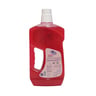 Motion Concentrated Multi Purpose Cleaner & Disinfectant With Wild Berries 1 Litre