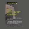 Sports Inc Gym Ball, 65 cm, Grey, VF97403