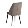 Home Canvas Riva Chair (Set of 2) Velvet Fabric - Leg Black Metal - Brown TC09AN006S1