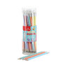 Win Plus Pastel HB Pencil48s