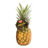 Pineapple Honeyglow Kenya 1 pc