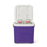 Igloo Laguna Hard Cooler 12 Quarts Purple