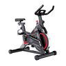 Techno Gear Spinning Bike D100Y