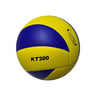 Passion Volleyball BSV004