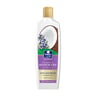 Parachute Advansed Anti-Dandruff Shampoo With Rosemary & Coconut 340 ml