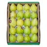 Guava Egypt 1.5 kg