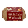 Risha Organic Brown Eggs Medium 6 pcs