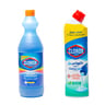 Clorox Colors Stain Removal Regular 950 ml + Bleach Gel Mint Freshness 750 ml