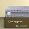 Sleepwell Spine Plus Regular , Visco Rebonded Foam , Queen Bed Size , Bonnell Spring , Neem Fresche Technology , Anti Sag Mattress (200L x 160W x 20H cm)