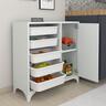 Home Canvas Compo Multifunctional Cabinet (5 Baskets) BF00202