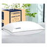 Crystal Prime Pillow 50x75cm Assorted