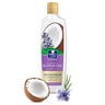 Parachute Advansed Anti-Dandruff Shampoo With Rosemary & Coconut 340 ml