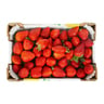 Driscolls Strawbery Morocco 1 kg