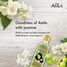 Dabur Amla Jasmine Hair Oil 300 ml