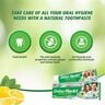 Dabur Herbal Intense Fresh Gel Toothpaste 150 g