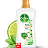 Dettol Activ-Botany Green Tea & Bergamot Anti-Bacterial Body Wash 700 ml