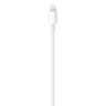 Apple USB-C to Lightning Cable, 2m, MW2K3BA