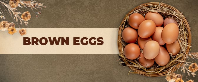 Brown-Eggs_672x279 1.jpg