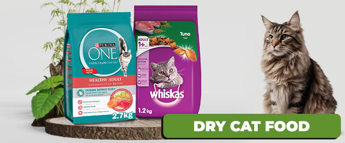 Dry-Cat-Food-672x279.jpg