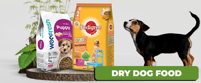 Dry-Dog-Food--672x279.jpg