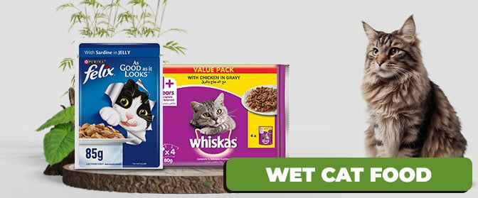 Wet-Cat-Food-672x279.jpg