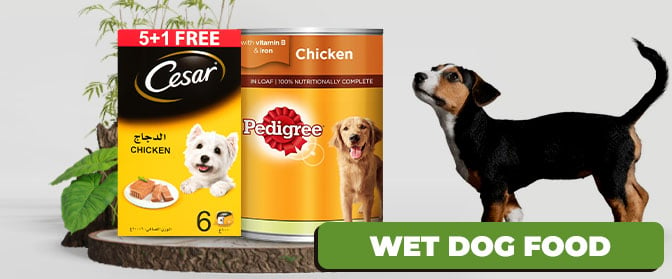 Wet-Dog-Food-672x279.jpg