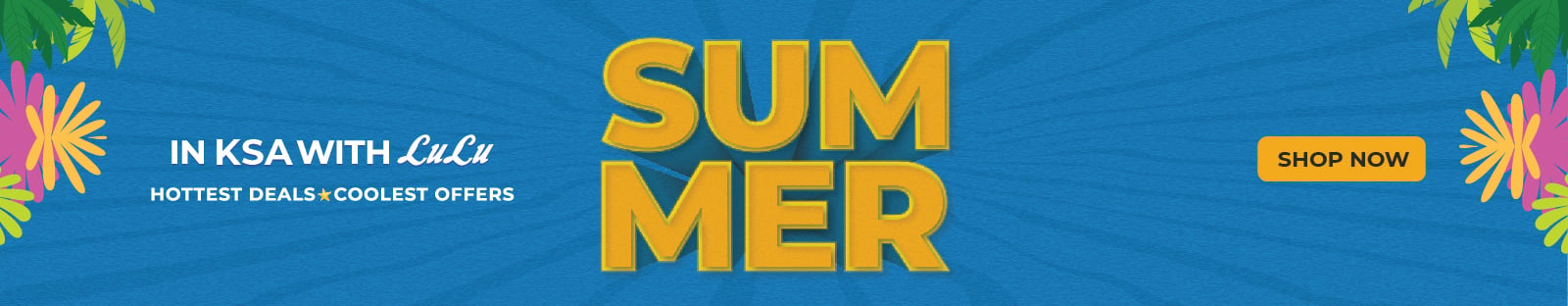 Summer web 2024 