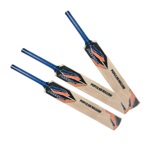 Passion Cricket Bat BSCH0056 1pc