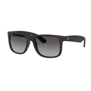 RayBan Men's Sunglass Wayfarer 4165-601/8G