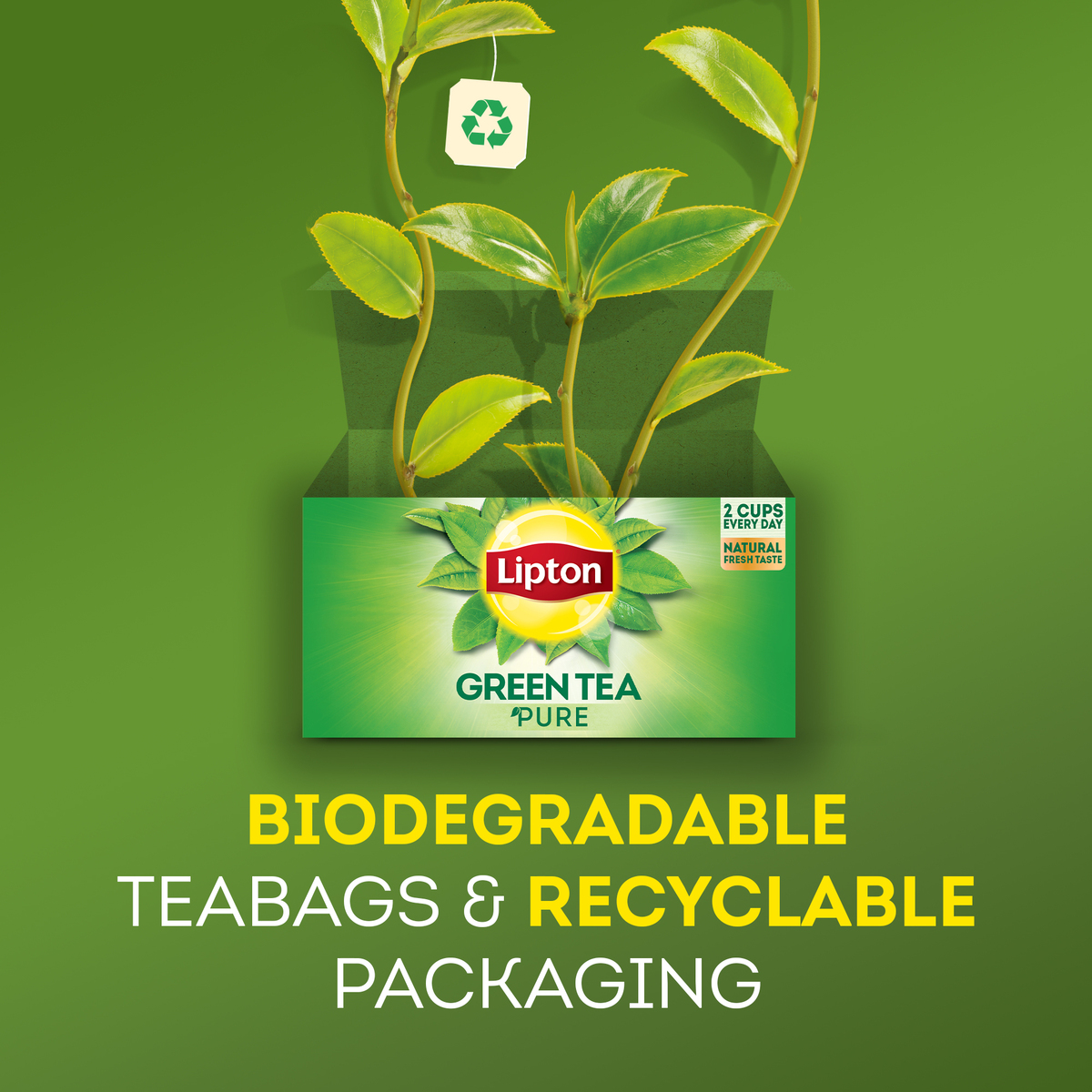 Lipton Mint Green Tea 50 Teabags