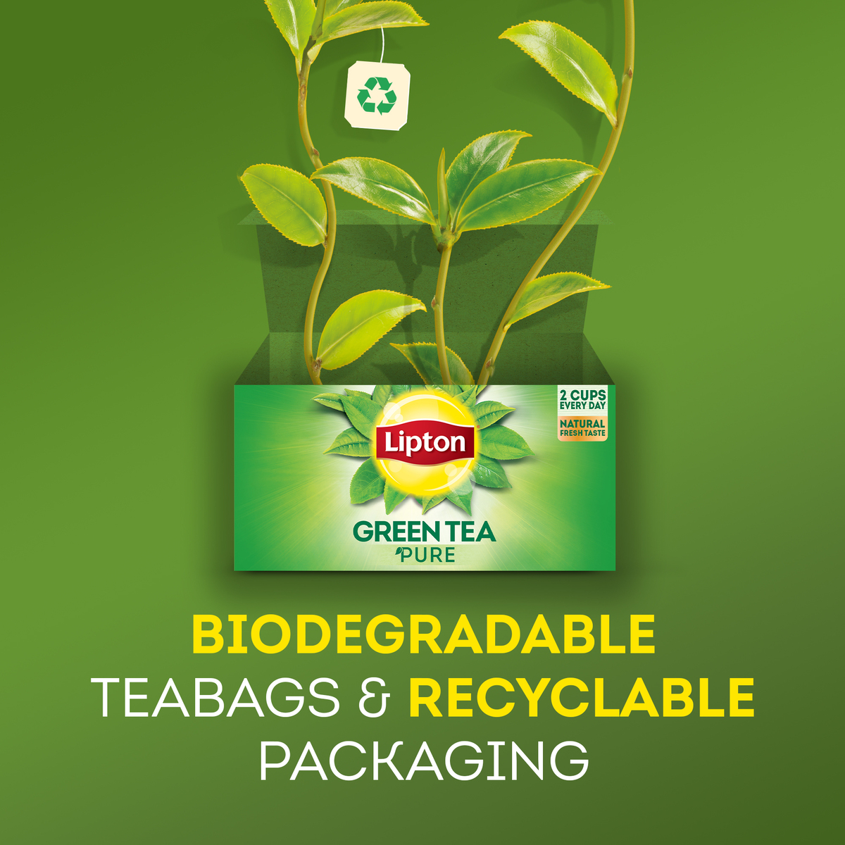 Lipton Pure Green Tea 25 Teabags