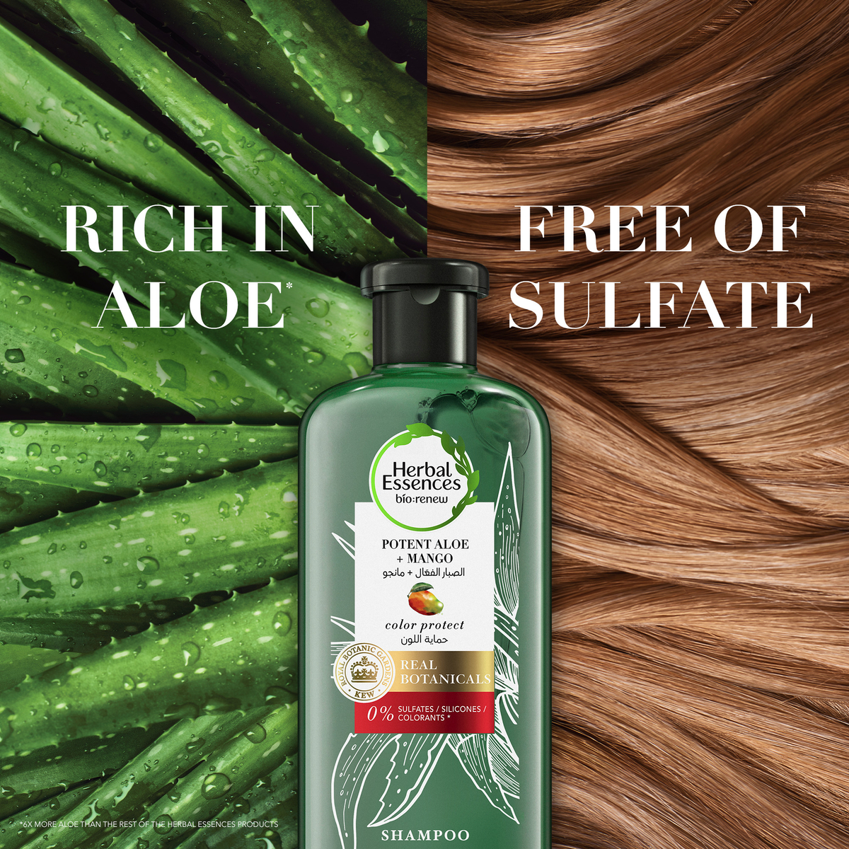 Эссенция алоэ. Шампунь с бамбуком. Coconut Aloe. Herbal Essences масло для волос арган и алоэ 100мл. Имбилима Бабария.