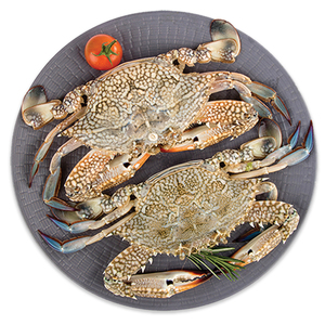 Fresh Crab Big 1kg Approx. Weight