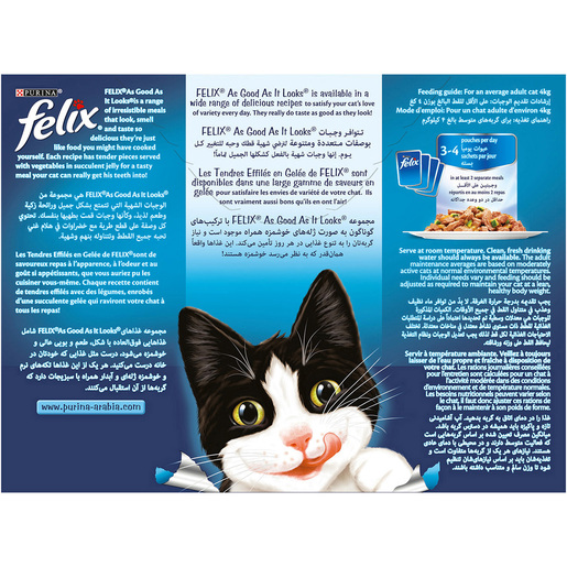 cat food jelly