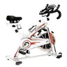 Sports Champion Spinning Bike HJ-B529