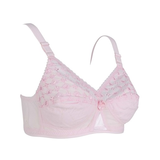 Download Buy Eten Women's Half Lace Bra LBK 01 Pink 36 Online ...