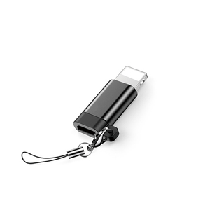 Trands Micro USB to Lightning Adapter with Keychain CA373