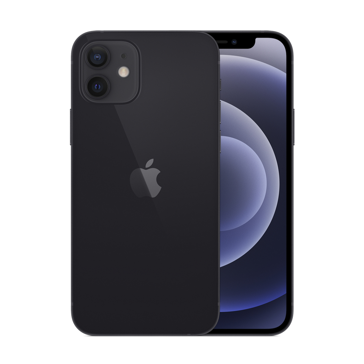 Buy Apple Iphone 12 64gb Black Online Lulu Hypermarket Qatar