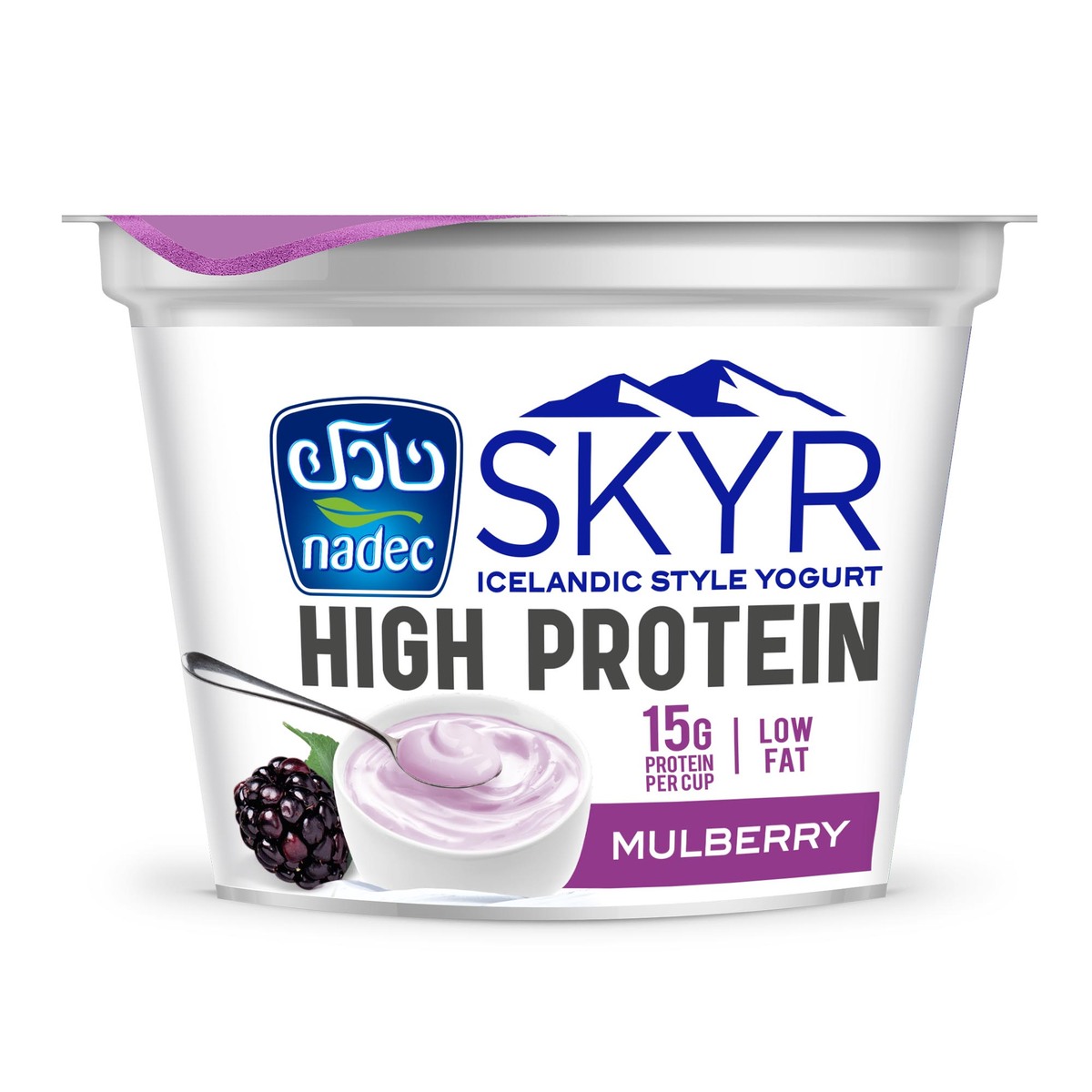 Nadec SKYR High Protein Yogurt Mulberry 160g Online at Best Price ...
