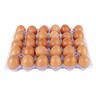 Local Organic Free Range Eggs Medium 30pcs