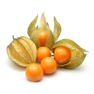 Physalis Columbia 1 pkt