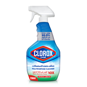 Clorox Multipurpose Spray Cleaner 750 ml