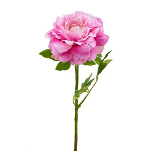 Maple Leaf Home Stick Flower Peony Rose, 74 cm, 29116PTJ