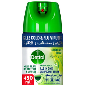 Dettol Morning Dew Antibacterial All in One Disinfectant Spray 450 ml