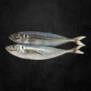 Horse Mackerel (Biyayo) 1 kg